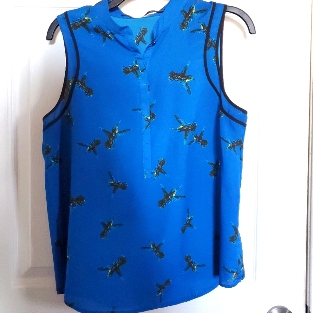 Vibrant blue humming bird top